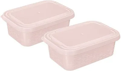 Zdjęcie produktu dla Małe różowe pojemniki plastikowe bez BPA, zestaw 2 sztuk