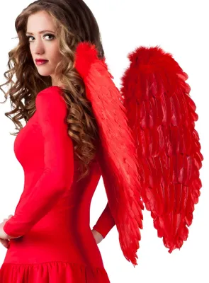 Produktbild von Federflügel rot 65cm - Karneval Faschingskostüm