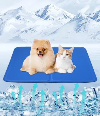 Produktbild von Famanu Kühlmatte für Hunde und Katzen - selbstkühlend, 50 x 40 cm, ideal für kleine Haustiere