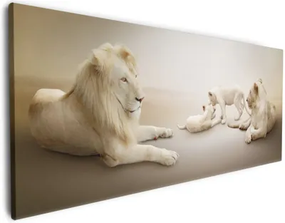 Produktbild von Wallario Premium Leinwandbild Löwenfamilie mit Jungtieren in Größe 80 x 200 cm