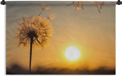 Produktbild von MuchoWow® Wandteppich Wandbehang Löwenzahn - Sonne - Sonnenuntergang 120x80 cm Tapisserie Dekoration Wandtuch - Wanddekorationen - Wandtücher