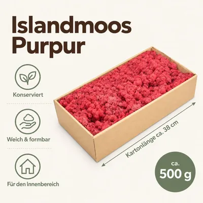 Produktbild von Islandmoos 500 g in über 30 Farben, konservierte Rentierflechte Deko Basteln, Farbe:Purpur