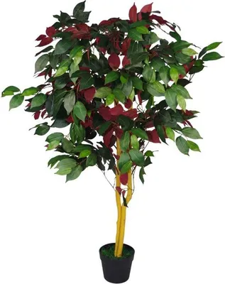 Imagen del producto de Unyqoos® Árbol artificial Capensia de 120 cm: planta artificial realista con tronco de madera natural, hojas grandes de color verde y rojo, ideal para decorar espacios de hogar y oficina