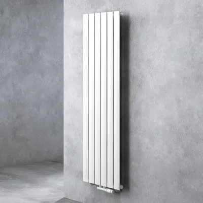 Immagine prodotto di doporro Radiatore Verticale da Bagno 160x46cm, Radiatore a Pannello Termoarredo da Parete e Pavimento in Acciaio, Bianco