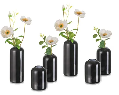 Image de Ensemble de 6 vases en verre noir pour la décoration de table