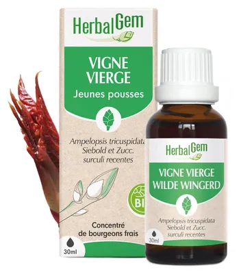Imagen del producto de Herbalgem - Brote de vid silvestre - Ecológico - 30 ml