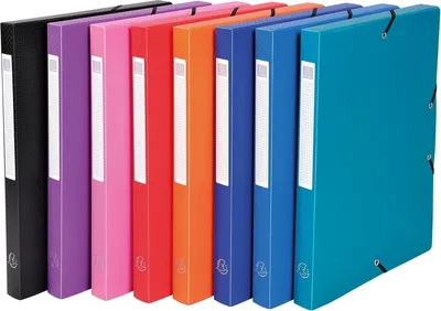 Produktbild von Exacompta Archivbox PP Opak A4 Rücken 2,5 cm 1 Stück Zufallsfarbe
