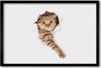 Produktbild von Bild 60x40 MDF-Rahmen, Wandkunst Katze