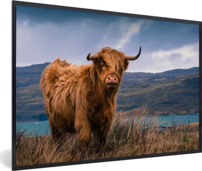 Produktbild von MuchoWow® MuchoWow® Gerahmtes Poster Schottisches Hochlandrind - Berg - Wasser - Natur - Kuh 60x40 cm - Poster mit zchwarzem Bilderrahmen - Printing - Wanddeko Schlafzimmer