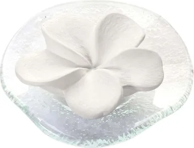 Zdjęcie produktu dla Kamień zapachowy - Frangipani