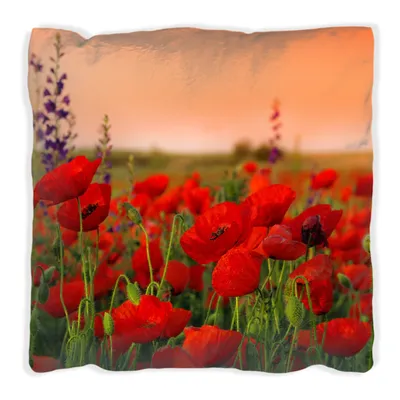 Produktbild von Wallario Premium Kissen, weiche Oberfläche, mit Motiv Mohnblumen auf dem Feld, Größe: 40 x 40 cm, mit weißer Rückseite
