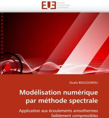Produktbild von Modélisation numérique par méthode spectrale