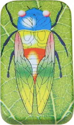 Produktbild von Knackinsekt Sebastian, Clicker, Knackkäfer aus Blech, 4,5 x 2,5 cm