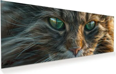 Produktbild von Glasbild 150x60cm in XXL für Wohnzimmer, Schlafzimmer Motiv Nahaufnahme Katze