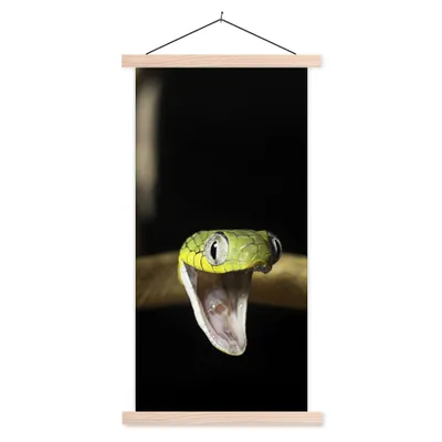 Produktbild von MuchoWow® Textilposter Schlange - Tier - Schwarz 60x120 cm mit holzfarbenen Rahmen - Holz