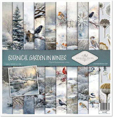 Zdjęcie produktu dla Zestaw papierów do scrapbookingu 30x30 - Itd Collection - Botanical Garden in Winter
