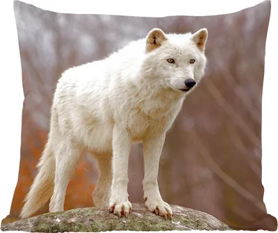 Produktbild von MuchoWow® Zierkissen Sofakissen Wohnzimmer Dekokissen 45x45 cm Wolf - Stein - Weiß - Schlafpolster - Polster für das Sofa
