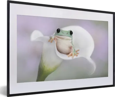 Produktbild von MuchoWow® MuchoWow® Gerahmtes Poster Lilie - Frosch - Blume 60x40 cm - Poster mit zchwarzem Bilderrahmen - Schlafzimmer - Plakat in Rahmen - Drucken