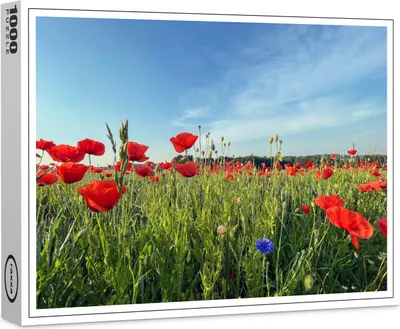 Produktbild von raxxa Premium-Puzzle "Mohnfeld Impressionen", 1000 Teile