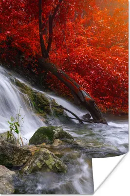 Produktbild von MuchoWow® Poster Wasserfall - Felsen - Wasser - Herbst 120x180 cm - Kunstposter
