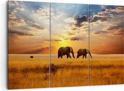 Produktbild von Bild auf Leinwand - Leinwandbild - Elefanten Safari Dschungel Busch - 105x70cm - Wand Bild - Wanddeko - Leinwanddruck - Bilder - Kunstdruck - Leinwand bilder - Wandkunst - CE105x70-3150