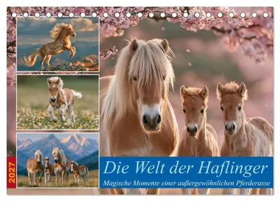 Produktbild von Die Welt der Haflinger (Tischkalender 2027 DIN A5 quer), CALVENDO Monatskalender