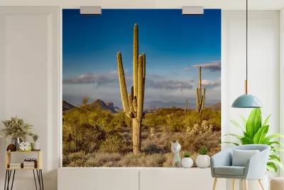 Produktbild von Wanddeko - Fotowanddeko Cactus bei Sonnenuntergang in Arizona - Breite 260 cm x Höhe 260 cm