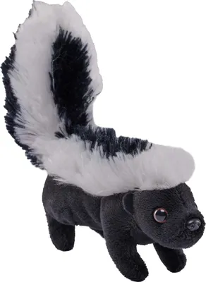 Immagine prodotto di Wild Republic - Peluche - Pocketkins Eco - Puzzola