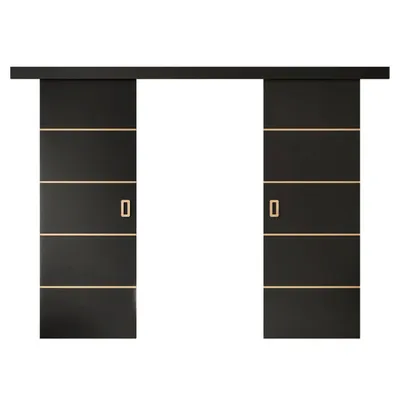 Produktbild von WAYATT PLUS DUO Schiebetür mit Griff, Schwarz, Breite 152 cm