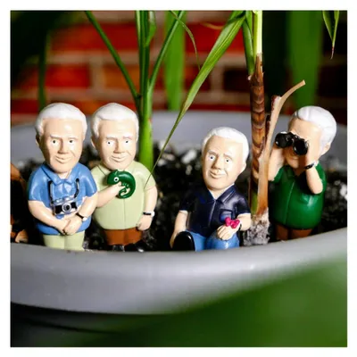 Produktbild von Attenborough Explorers Pflanzenmarker
