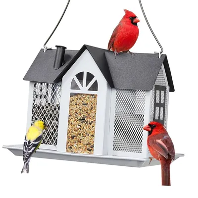 Produktbild von Vogelhaus Futterspender Metall, hängender Vogelfutterspender Garten, 25 × 20 × 17 cm, wetterfest, für Vögel & Eichhörnchen