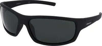 Produktbild von Sonnenbrille Polaroid P8411 9CA/RC