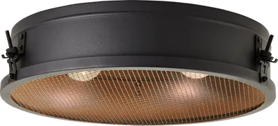 Produktbild von Zois Deckenleuchte schwarz korund 41 cm Durchmesser
