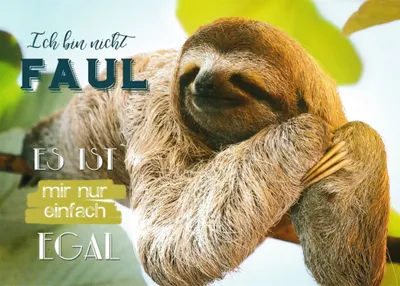 Produktbild von Postkarte "Ich bin nicht faul. Es ist mir nur einfach egal."