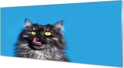 Produktbild von Glasbilder 125x50 Wandkunst Oblizujący eine Katze
