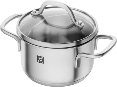A stainless steel pot with a glass lid and two handles, shown from a slightly elevated side angle on a white background.
