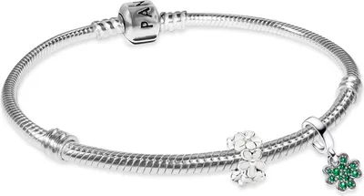 Pandora 68629 Damenarmband Silber Starter-Set Glücksbringer 1