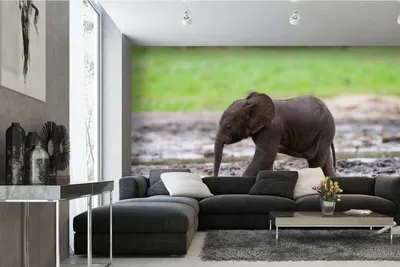 Produktbild von Vlies Fototapete BABY WALDELEFANT 375 x 250 cm (inkl. Kleister) - Vlies Tapete, Wandtapete, Wandbilder - Tapete für Wohnzimmer Schlafzimmer, Büro, Küche - Montagefertig