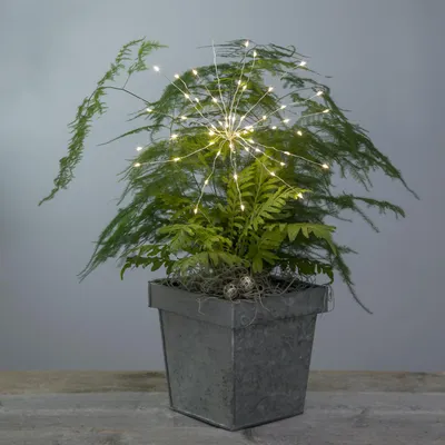 Produktbild von LED Lichterbouquet FEUERWERK - Flaschenbeleuchtung - 20 Stränge - H:42cm - Batterie - Timer - silber