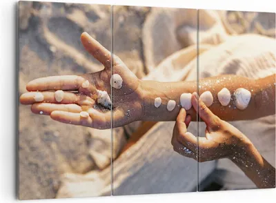 Produktbild von Bild auf Leinwand - Leinwandbild - 3 Teile - Muschel Hand Strand - 165x110cm - Wand Bild - Wanddeko - Wandbilder - Leinwanddruck - Bilder - Wanddekoration - Leinwand bilder - Wandbild - CE165x110-5102