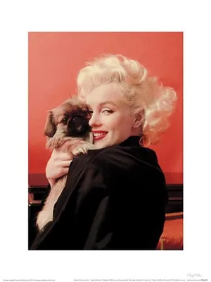 Produktbild von Pyramid Marilyn Monroe Love Kunstdruck 30x40cm