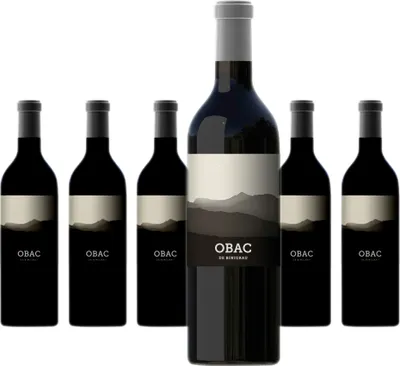 Produktbild von 6 x Binigrau Obac Black Label