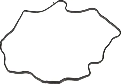 Immagine prodotto di Guarnizione coperchio valvole 024993
