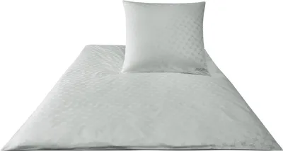 Produktbild von JOOP! Bettwäsche Mako-Satin Cornflower 4020 Farbe grau Größe 155x200cm + 80x80 cm