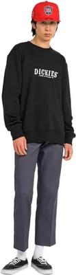 Immagine prodotto di Dickies Sweatshirt DK0A85SVBLK1 in Black color size small