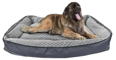 Produktbild von Hundebett orthopädisches Tierbett für jede Hundegröße waschbar V-30.3196x60
