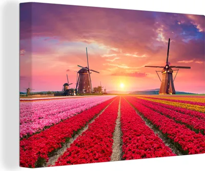 Produktbild von MuchoWow® - Leinwandbilder - Blumen - Windmühle - Tulpen - Sonnenuntergang - Rosa, Wandbild, Wanddeko Bilder Wohnzimmer, 120x80 cm