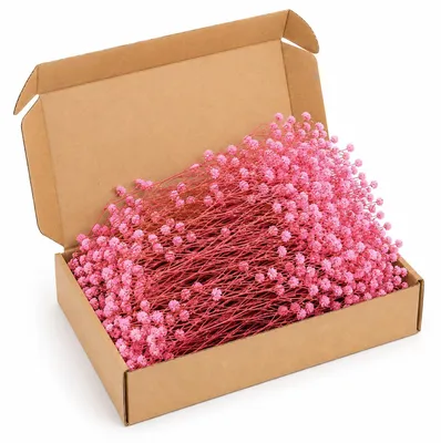 Produktbild von Schleierkraut Getrocknet Rosa 50 Stück Natürliche Trockenblumen für Deko & DIY