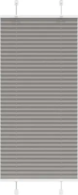 Obrázok produktu pre vidaXL Plisovaná roleta antracit 55x100 cm šírka látky 54,4 cm polyester