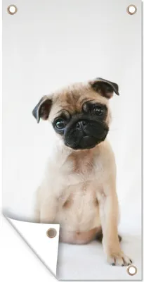Produktbild von MuchoWow® 40x80 cm Outdoor-Poster Gartendeko Sichtschutz Garten Poster für den Garten  Hund - Haustiere - Porträt